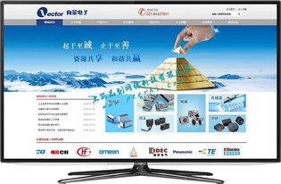 闵行网站建设与网络开发 打造专业、高效的在线平台