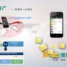 网络开发建设 构建数字化未来的基石