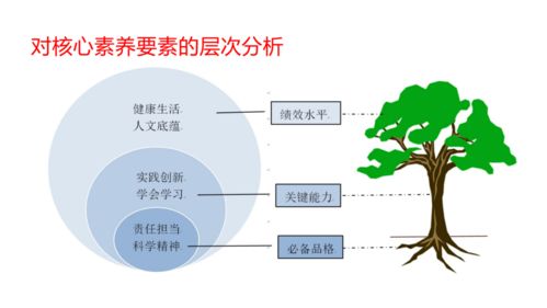 机遇与挑战 宁夏互联网+教育示范区建设与运营管理探析
